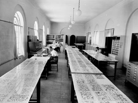 Research on dead sea scrolls