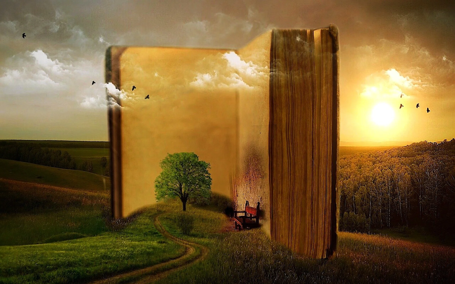 Banned Books